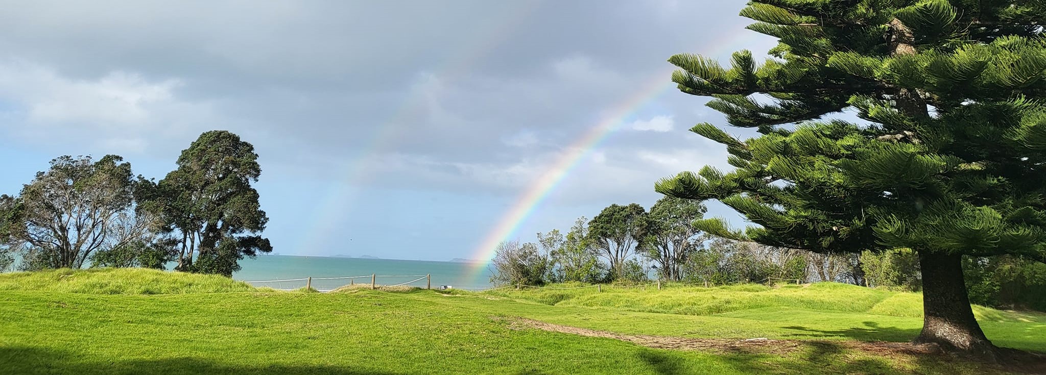 Outdoor view of Long Bay Regional Park, North Shore, Auckland. 